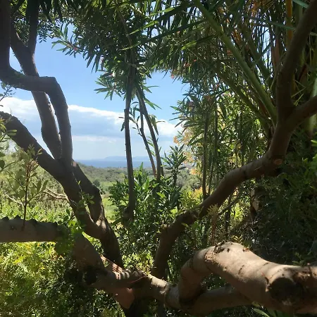 Nyaraló Art Villa Orchidee Piscina Con Vista Mare - Sardegna Capitana