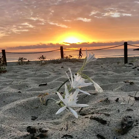Art Villa Orchidee Piscina Con Vista Mare - Sardegna Nyaraló *