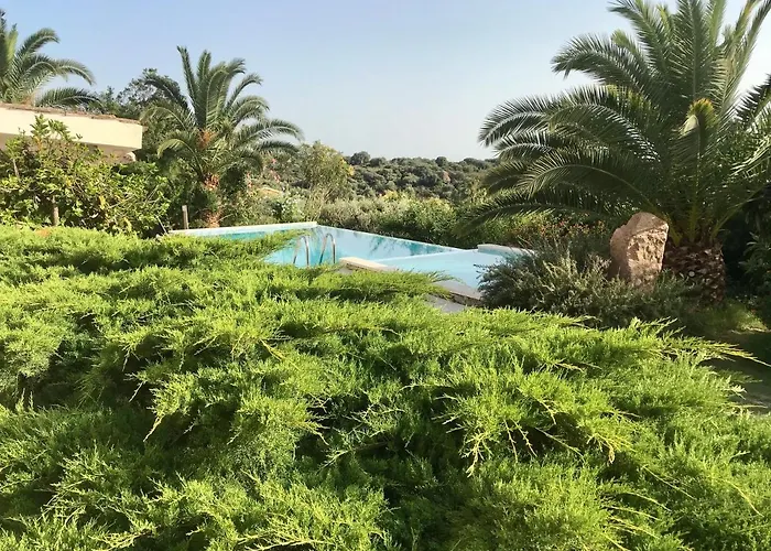 Art Orchidee Piscina Con Vista Mare - Sardegna Tatil Evi