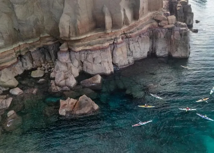 Tatil Evi Art Orchidee Piscina Con Vista Mare - Sardegna