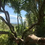 Holiday home Art Orchidee Piscina Con Vista Mare - Sardegna Capitana