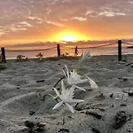 Art Orchidee Piscina Con Vista Mare - Sardegna Σπίτι διακοπών *