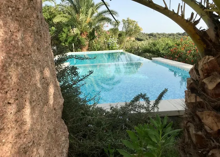 Art Orchidee Piscina Con Vista Mare - Sardegna Vakantiehuis Capitana